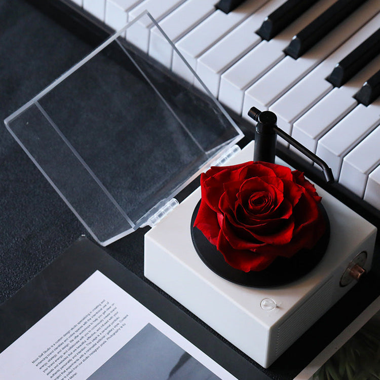 Everlasting Roses